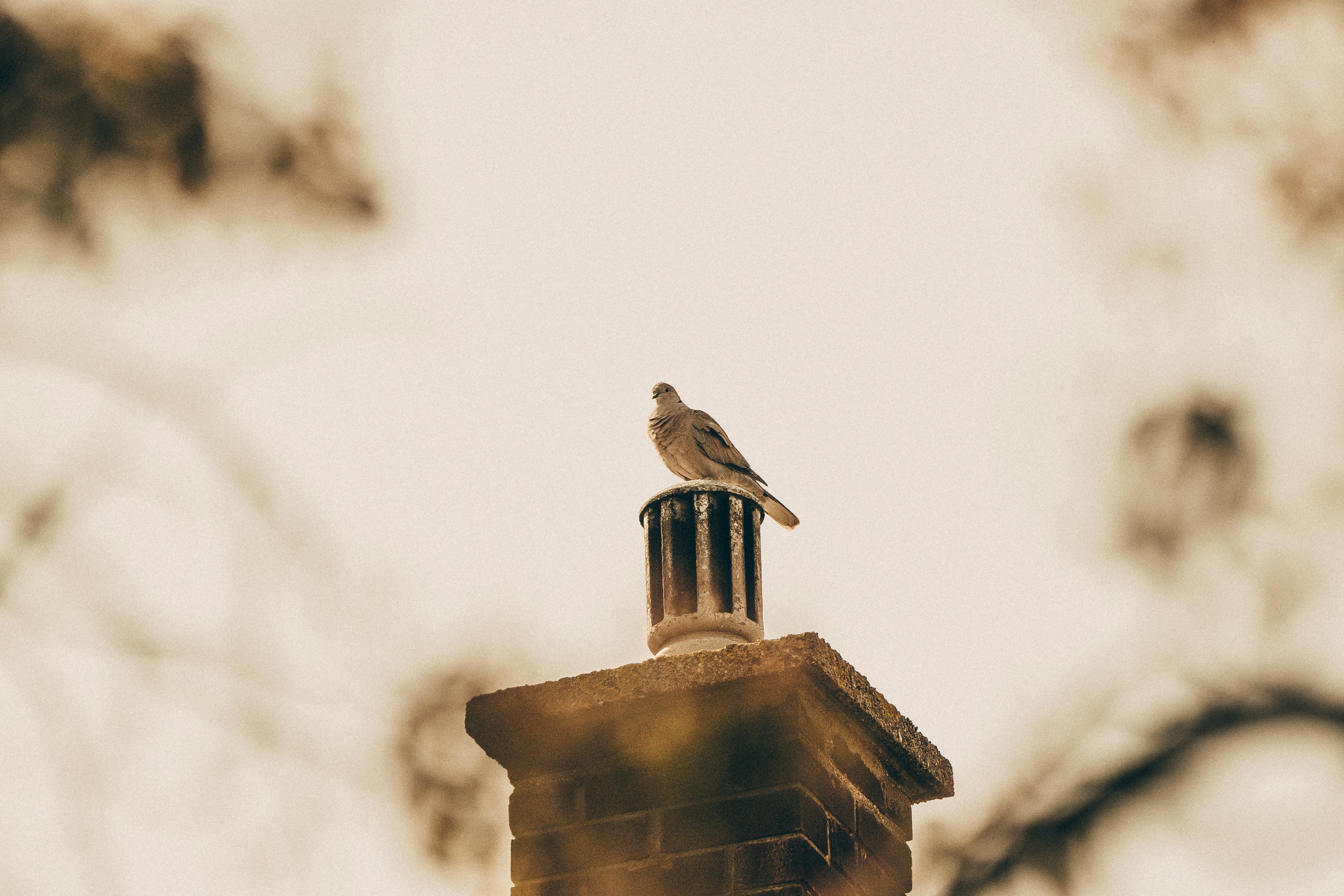 Expert Chimney Cap Installation in Deerfield Beach, Florida